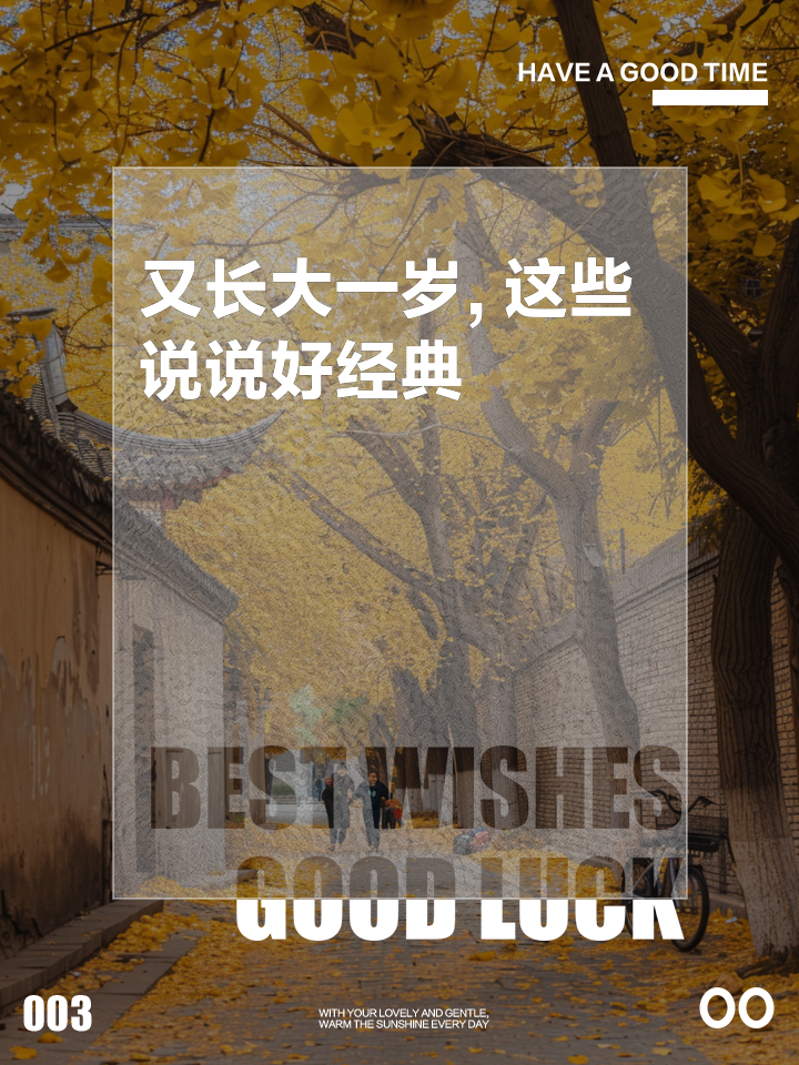 又长大一岁的经典说说