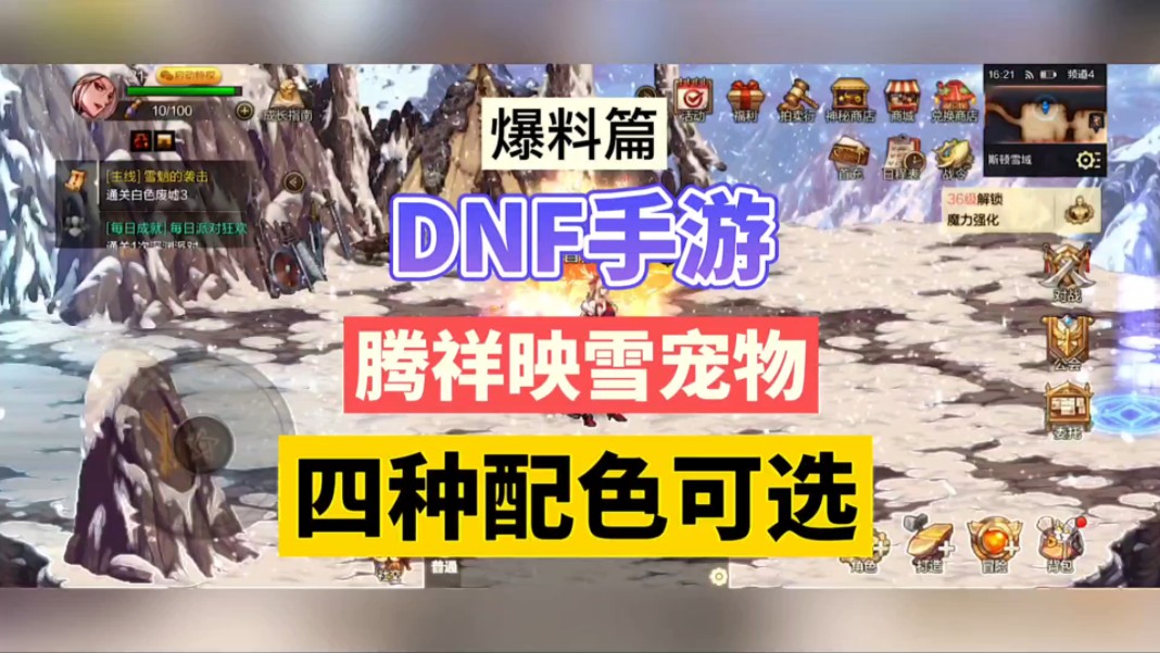 谁知道dnf拍卖行哪些宠物可以进化