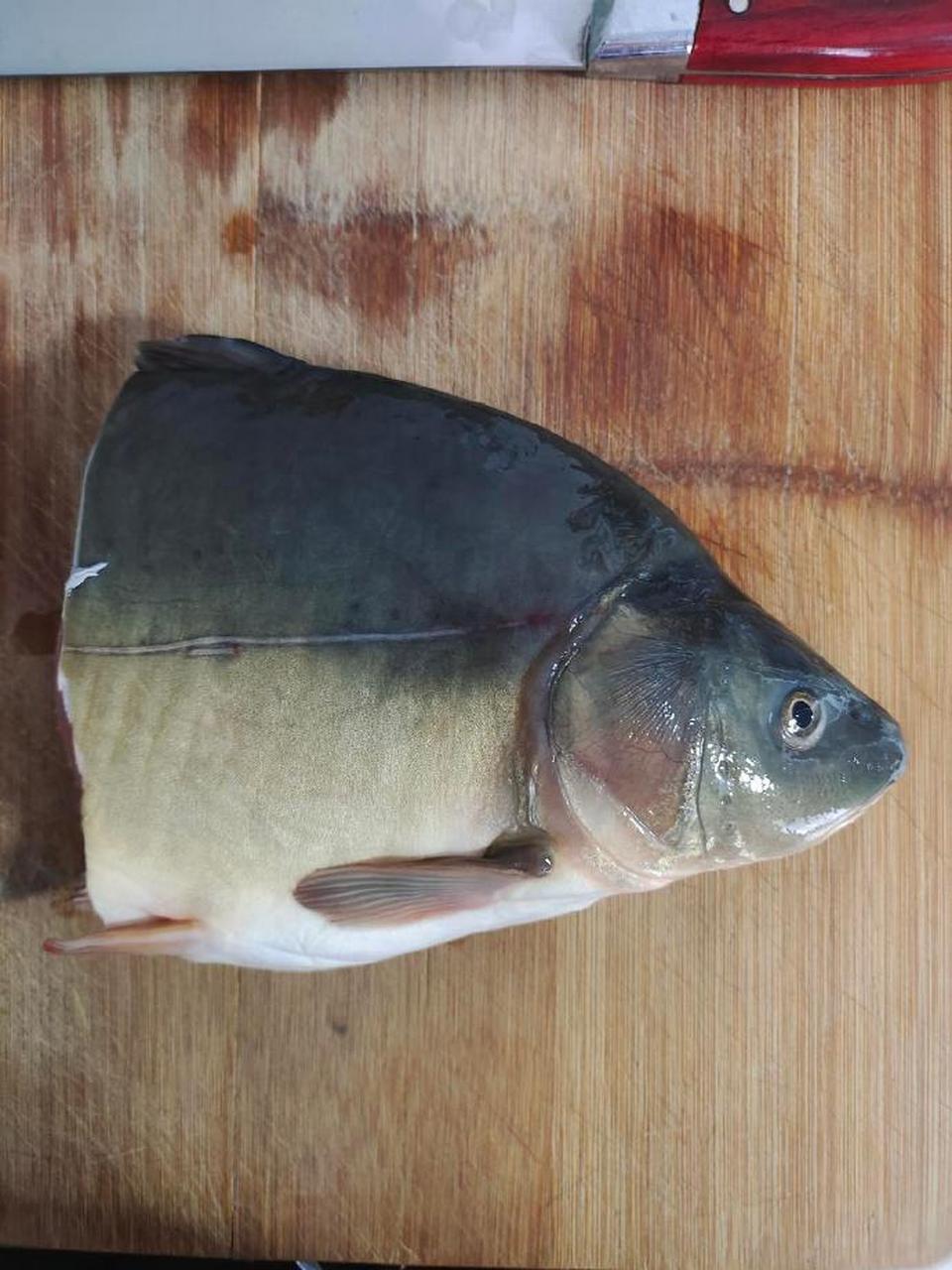 没有鳞片的鱼怎么做才好吃