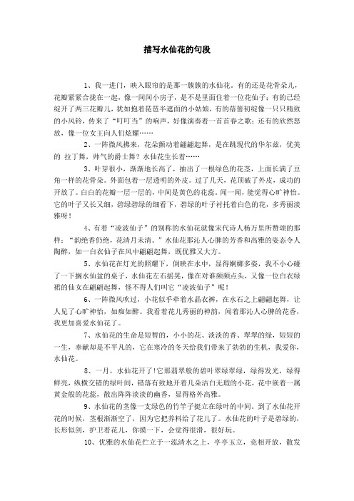 描写水仙花的优美句子集锦