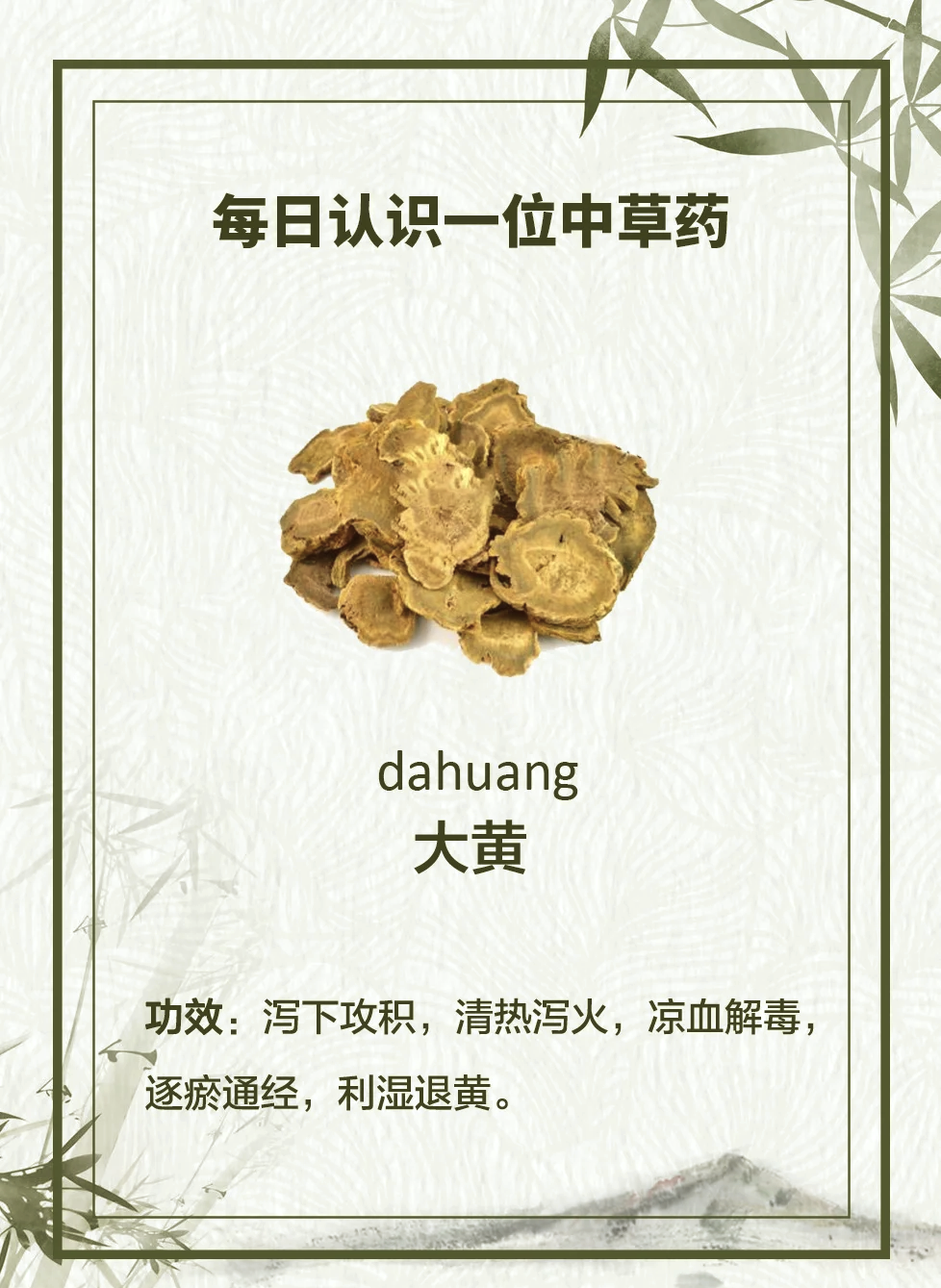 酒大黄的功效与作用