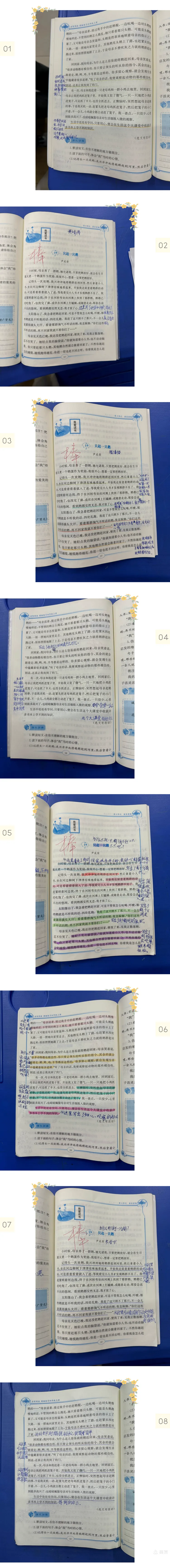 小试牛刀的意思