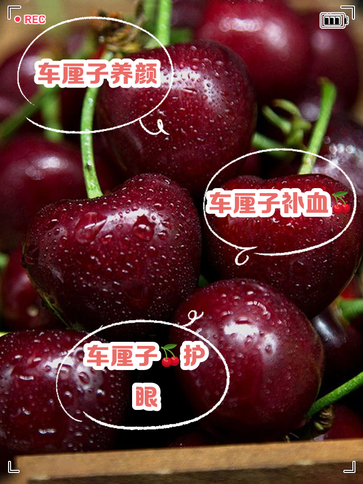 2025年9月22日 第7页