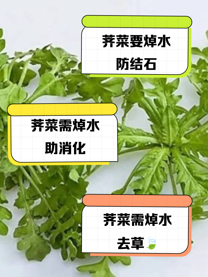 水荠菜和荠菜的区别水荠菜怎么吃