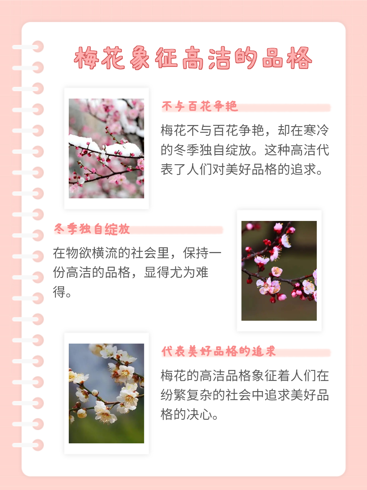 2025年9月28日 第7页