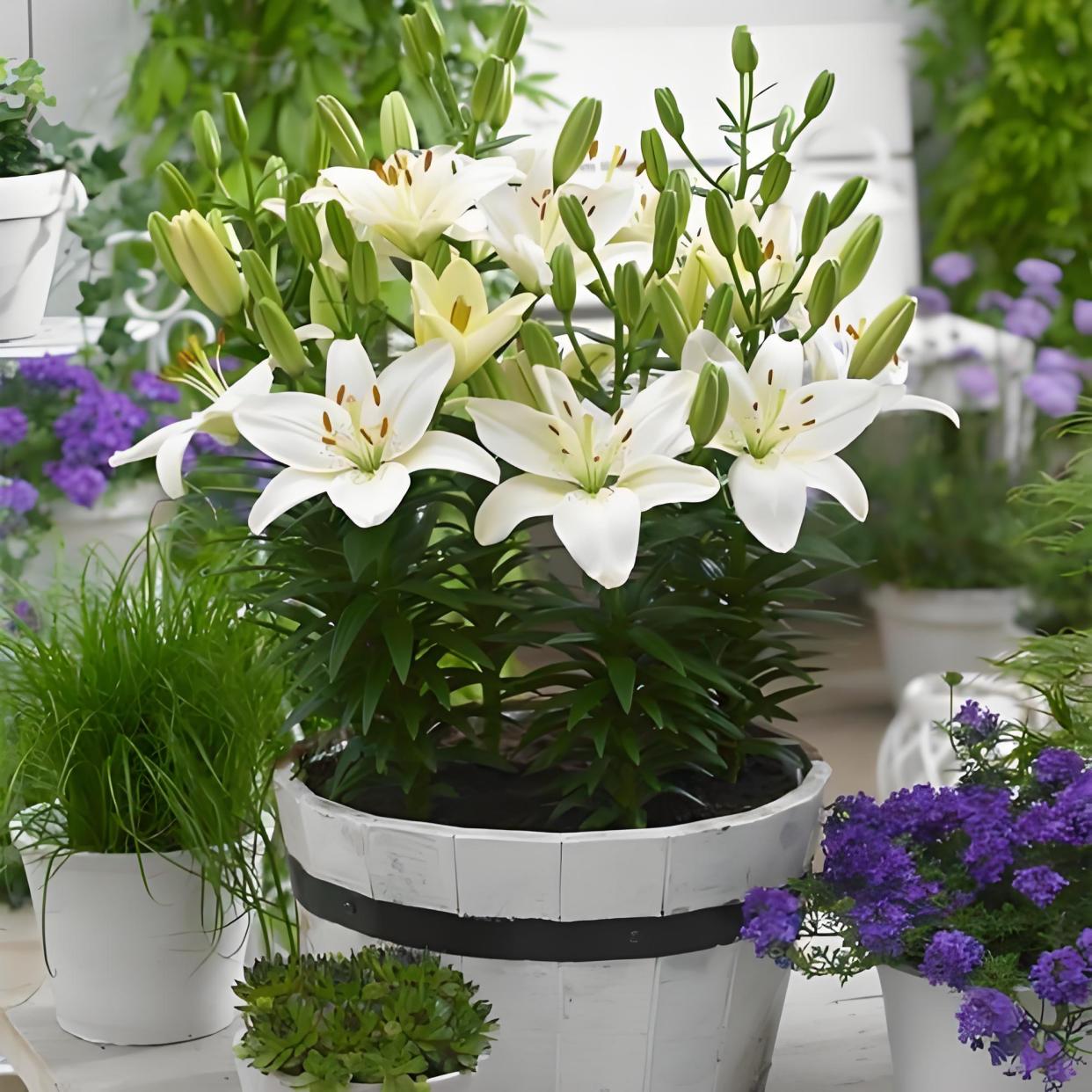 2025年10月2日 第8页