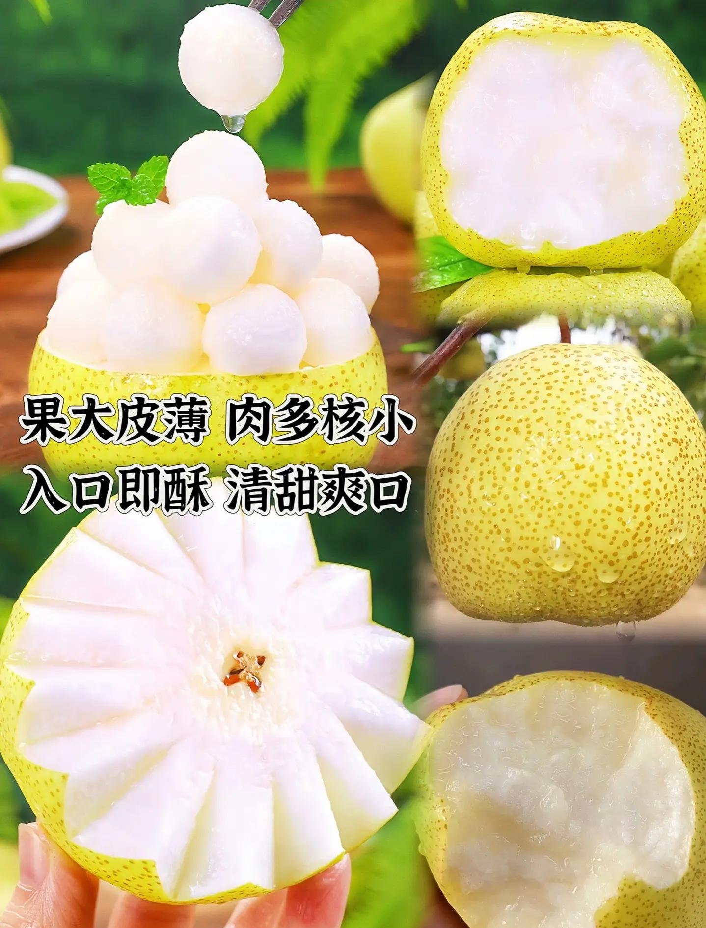 酥梨和雪梨的区别