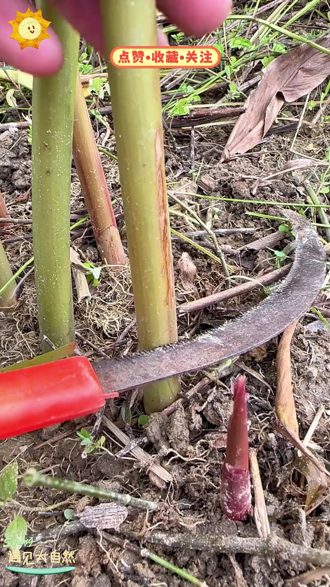 2025年10月5日 第7页