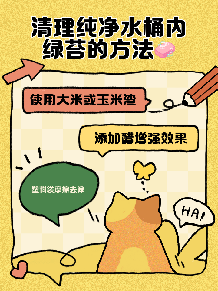 水桶里面的绿苔怎么去除