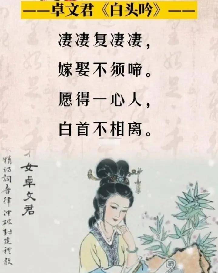 什么叫红颜知己怎么理解