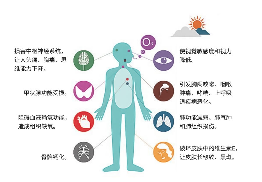 臭氧层能够吸收什么物质