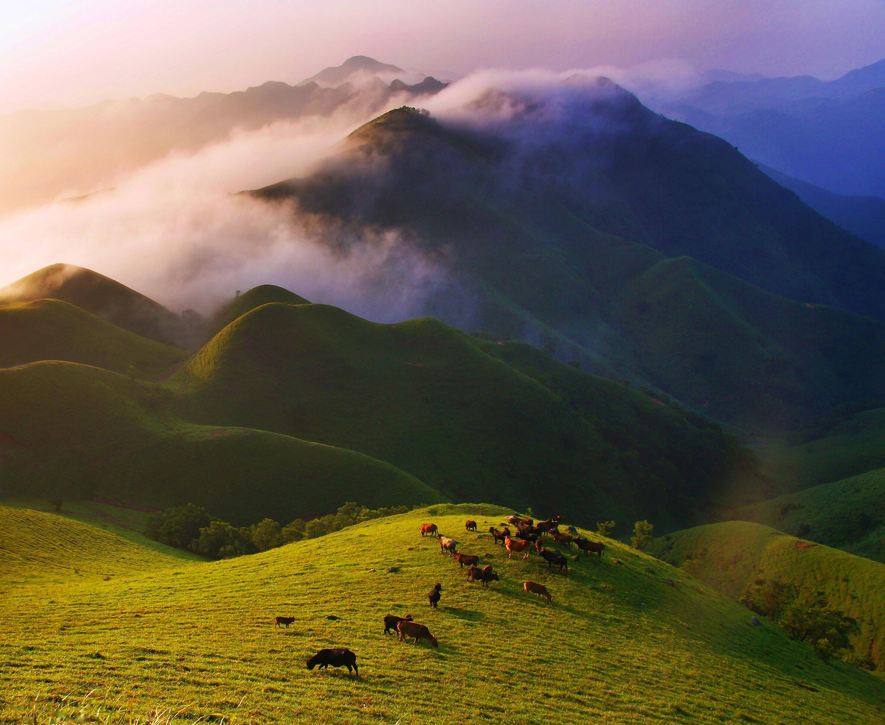 阳春自驾游必去十大景点
