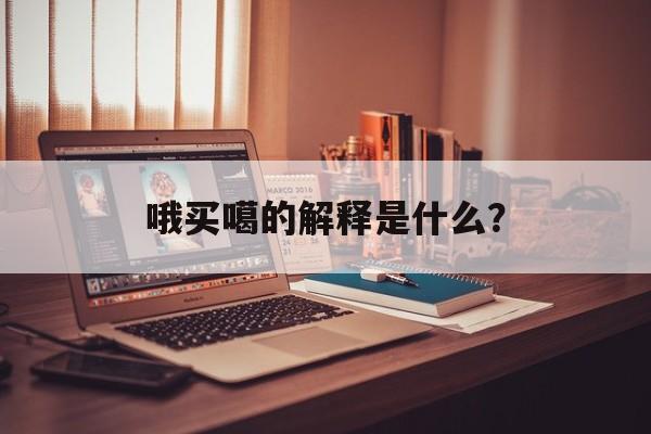 哦买噶的解释是什么？